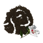 Blumenerde 51 x 45 l Kultursubstrat für Blühpflanzen   pH-Wert: 6,6